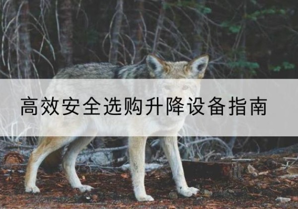 阳信升降货梯厂家推荐-*安全选购升降设备指南