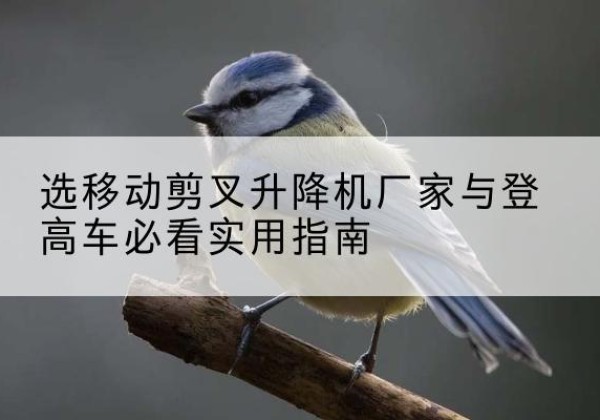 阳信电动升降机厂家-选移动剪叉升降机厂家与登高车必看实用指南